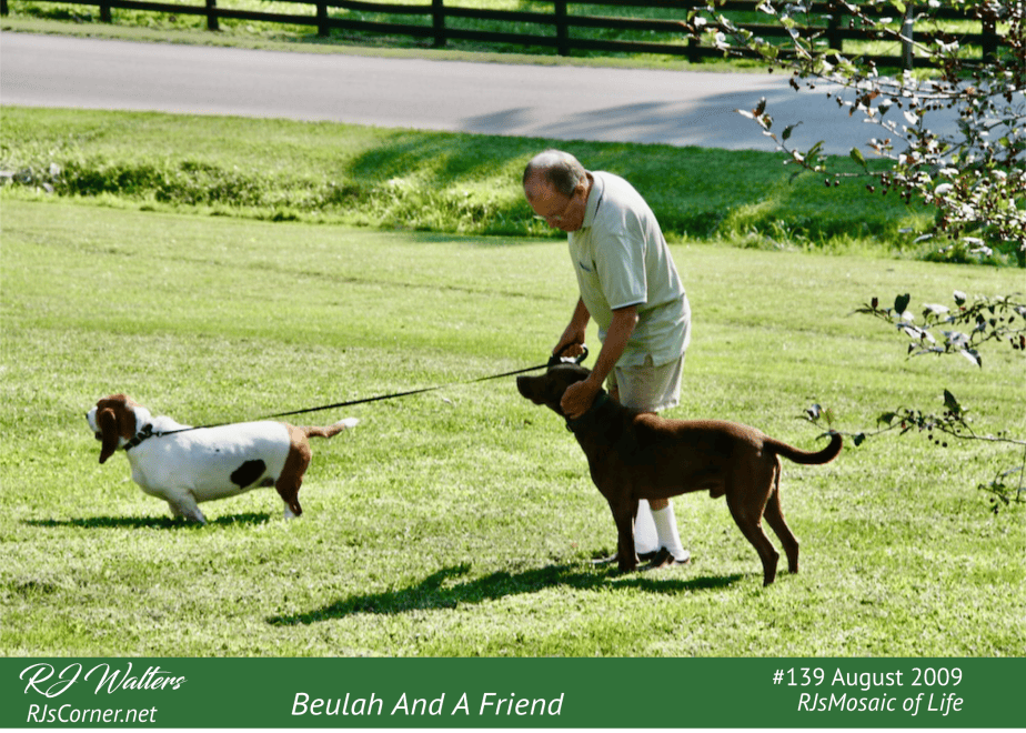 Mosaic of Life #139 – Beulah and A&nbsp;Friend
