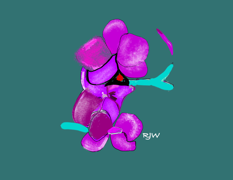 DD67 – Sour&nbsp;Grapes