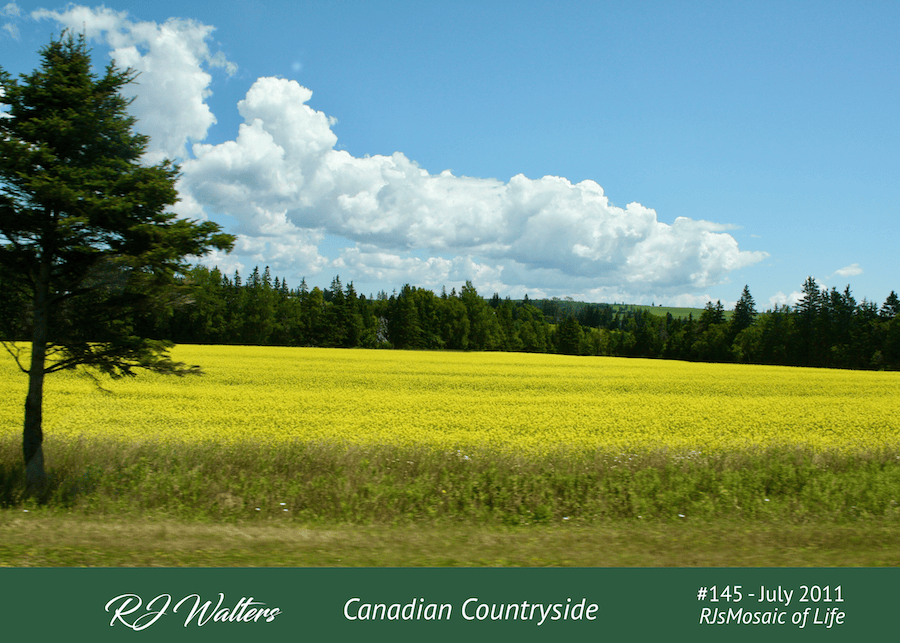 Mosaic of Life #145 – Canadian Countryside…