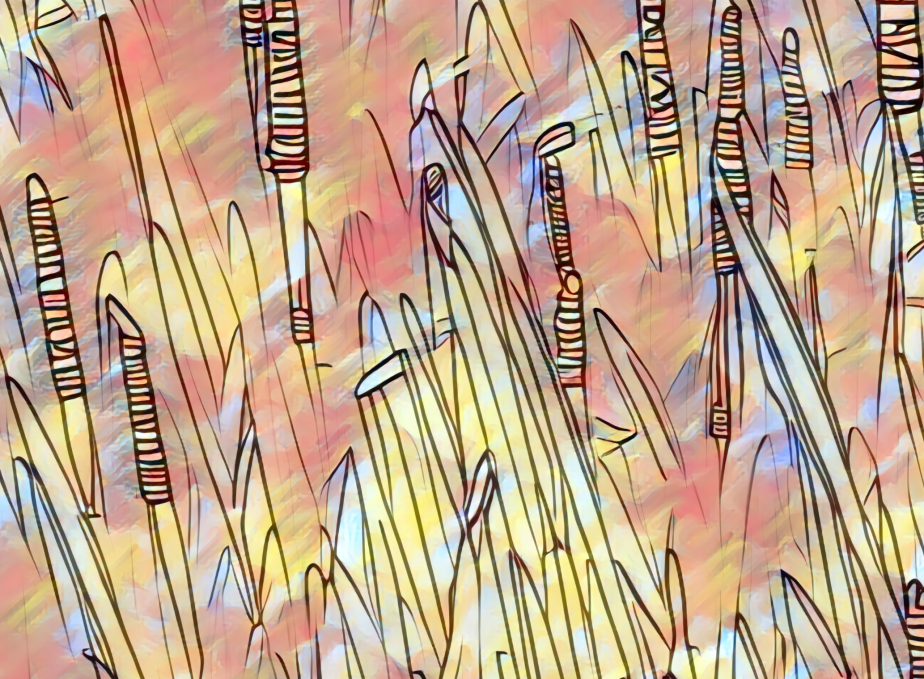MME36 – Artsified&nbsp;Reeds
