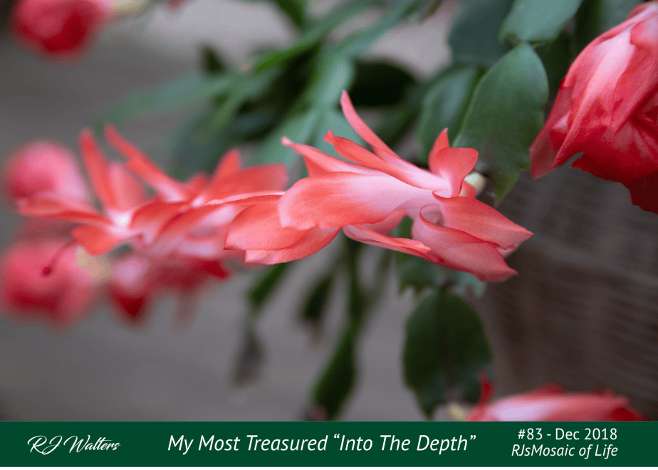 Mosaic of Life #83 – Most&nbsp;Treasured