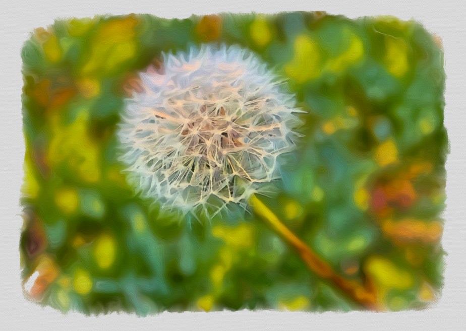 MME32 – Celebrating a Most Beautiful&nbsp;Flower