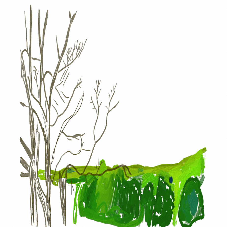 LA3 – A Little Line Art, A Little&nbsp;Watercolor